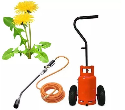 Gas weed burner - gas🔥weed,