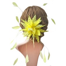 80 Colours Goose Coque Feather