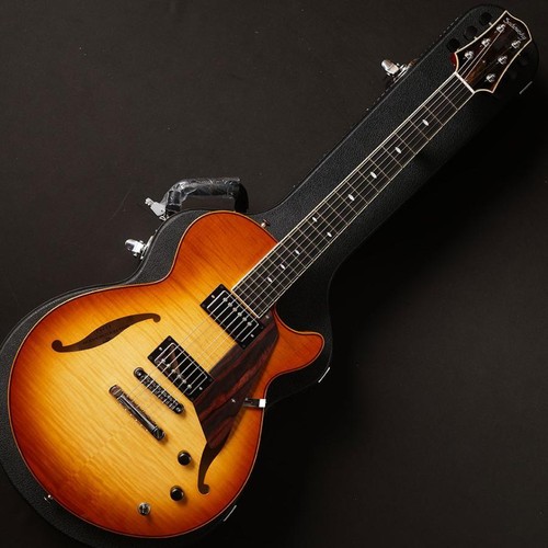 Sadowsky semi hollow cmb - hollow,