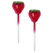  2 Pcs Large Water Globes for Indoor Plants Adjustable Automatic Watering Device