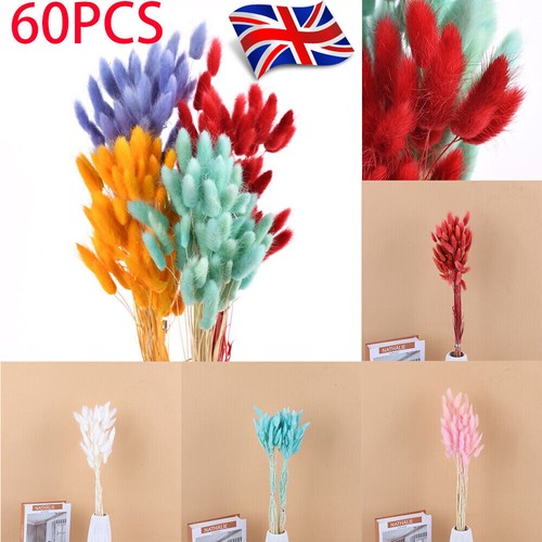 60pcs rabbit tail grass - grass, bunny