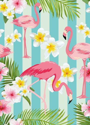 Flamingos photo wallpaper - photo,