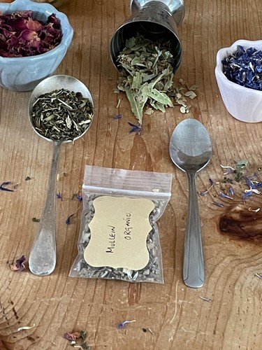 Witchcraft pagan herb - pagan,