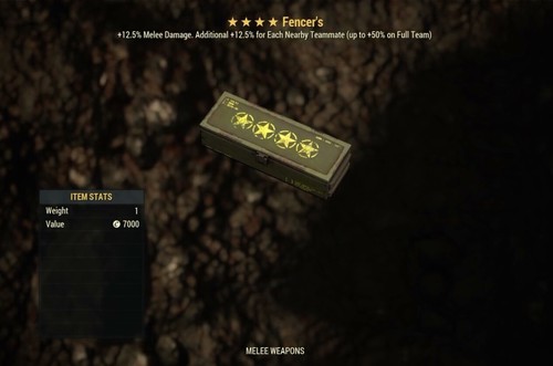 Fencer legendary - fencer’s,