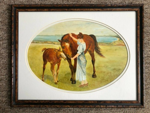 Horse and foal - and, colour