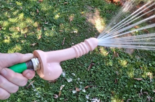 Prank gift penis garden water - prank,