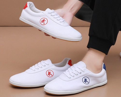 Canvas chinese kung shoes - canvas,