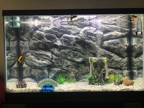 Aquarium background grey - aquarium, 3d
