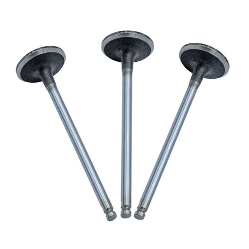 Exhaust valve for citroen - 3x,