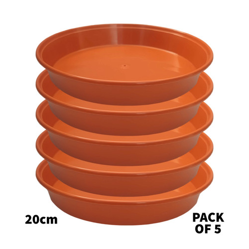 20cm terracotta plant - 5,