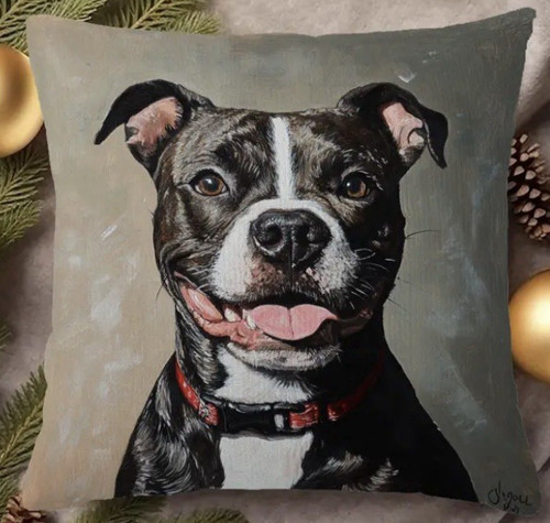 Staffordshire staffy bull - staffy,