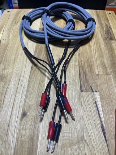 Chord rumour speaker - chord,