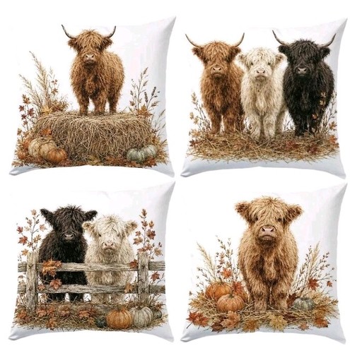 Beautiful highland cow - 4,