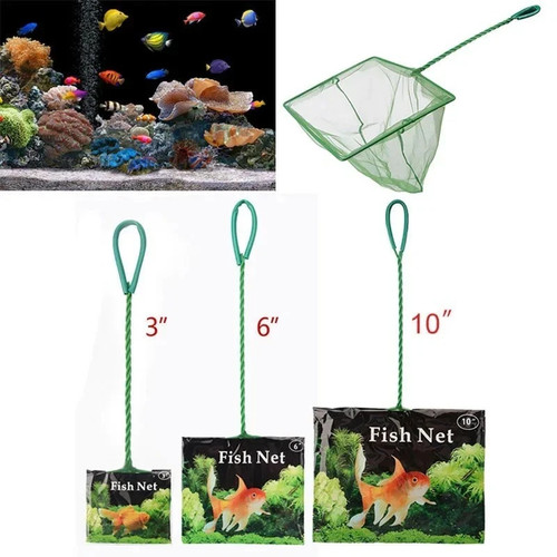 Aquarium fish net tropical - fish,