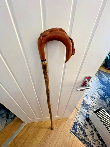 Hazel walking stick wood - walking, stick.