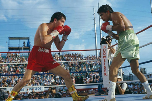 Irish boxing world - boxing,