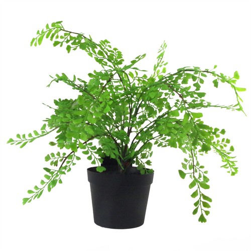 35cm artificial potted fern - artificial,