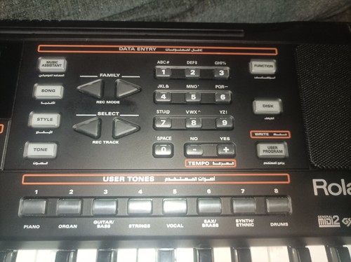 Roland exr 46or - roland, electric