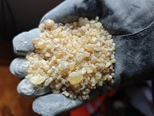 Rare Boswellia Frereana Coptic