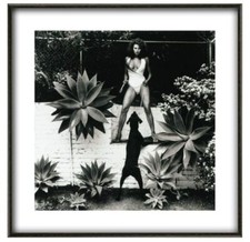 Helmut Newton, 'Raquel Welch'