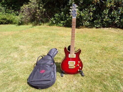 Gould electric guitar - gould,