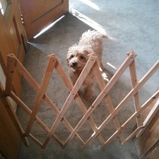 Standing Wooden Pet Gate Light