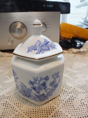 Aynsley cottage blue bone - blue,
