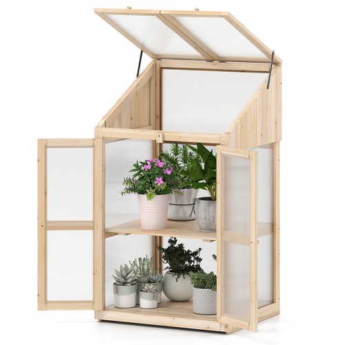 Wooden greenhouse transparent - wooden,