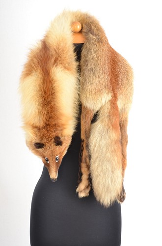 Z621 canadian red fox stole - z621,