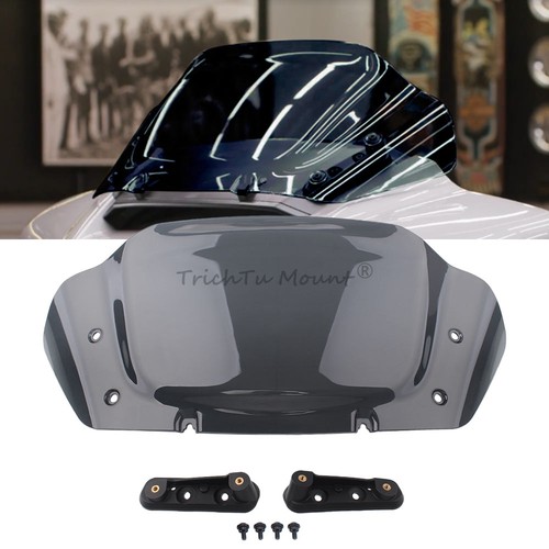 Smoke windshield windscreen - 8",