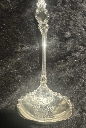 Vintage silver plate ladle - vintage,