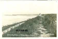 The Sea Wall, Bradwell Quay RP nr. Southminster, Maldon