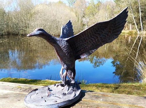 Flying duck garden - duck,