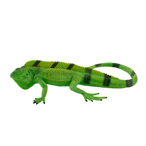 Mojo green iguana wild - mojo,