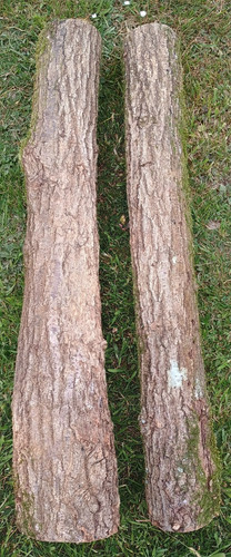 Seasoned and spalted - , long