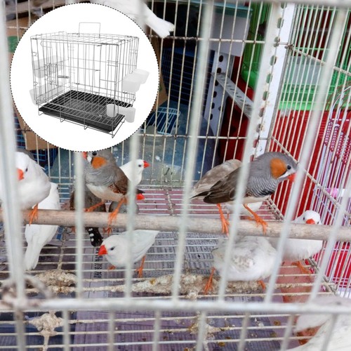 Pigeon breeding cage with tray - pigeon,
