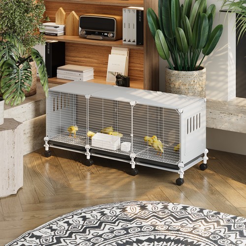 Diy chick cage run brooder - chick,