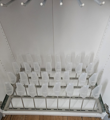 Ikea komplement shoe rack - rack, for