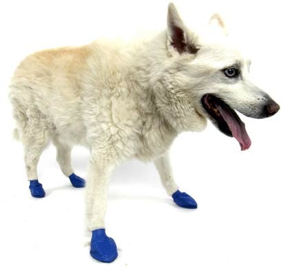 Pawz natural rubber dog - pawz, boots