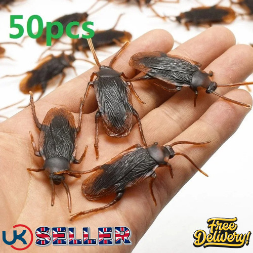 Fake plastic cockroaches - fake,