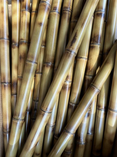 Flame cured bamboo - flame, poles