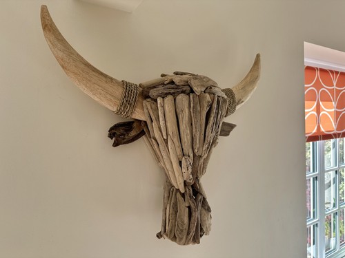 Bull head horns driftwood - head,