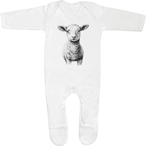 Cute lamb portrait baby - lamb,
