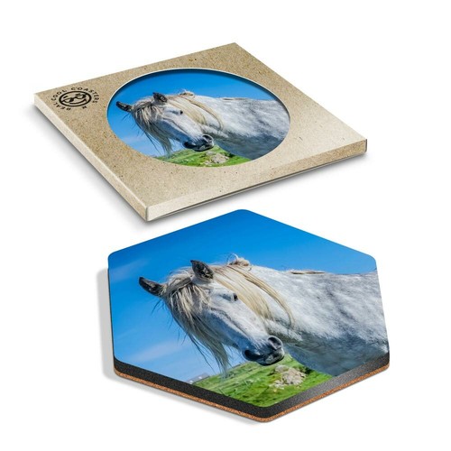 Hexagon coaster highland - 1,
