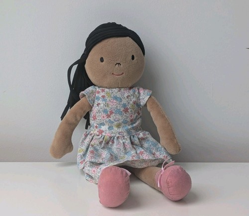 Ethnic mixed race ragdoll - ethnic,