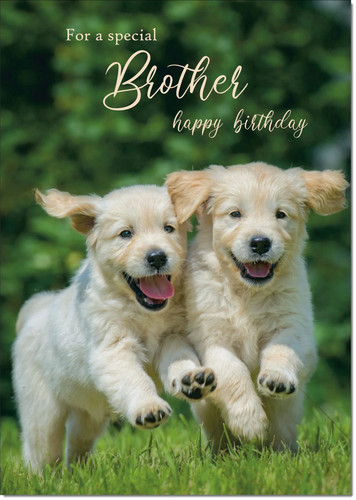Doodlecards brother birthday - doodlecards,