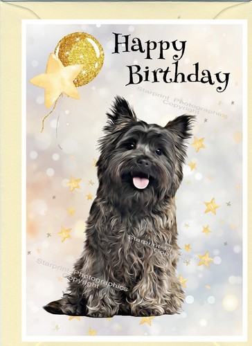 Cairn terrier dog - cairn, birthday