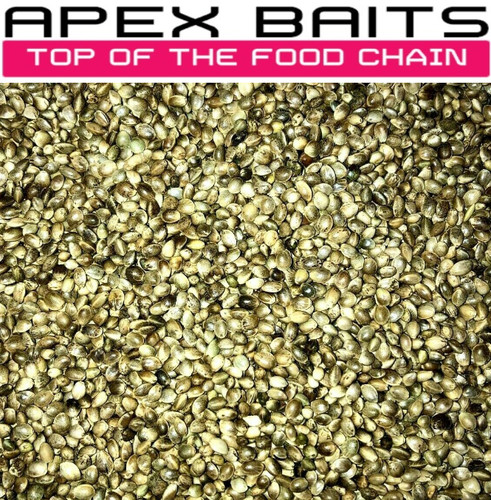 Hemp seed carp - hemp,