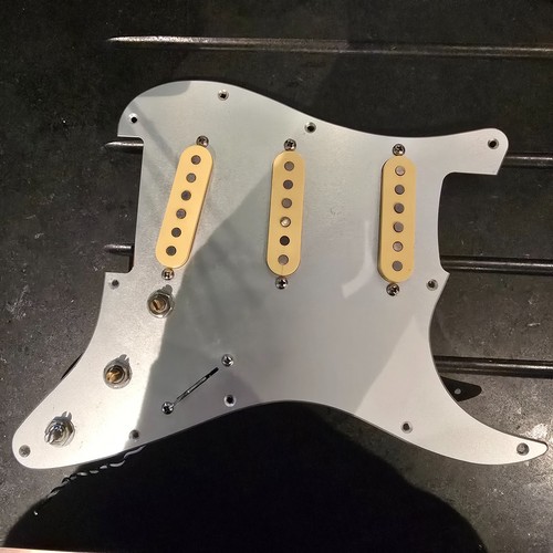 Alexander pribora voodoo strat - alexander,