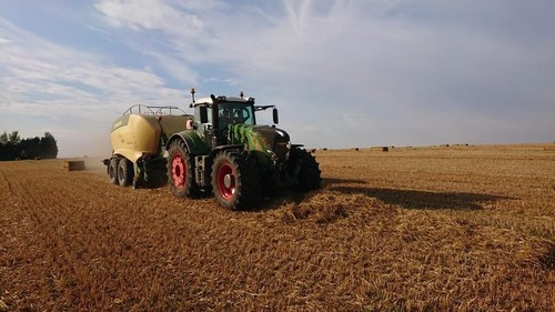 Straw wanted the swath in - swath,